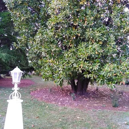 La Maison Basque 洛特河河畔圣利夫拉德