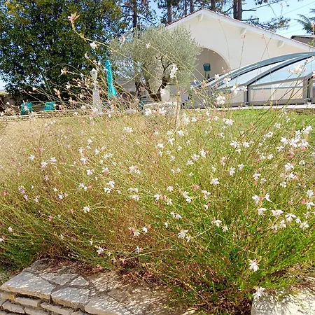 La Maison Basque 别墅 *