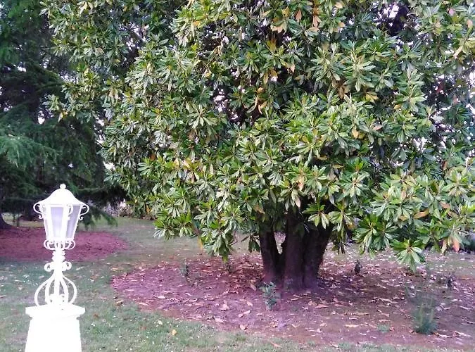 La Maison Basque Sainte-Livrade-sur-Lot