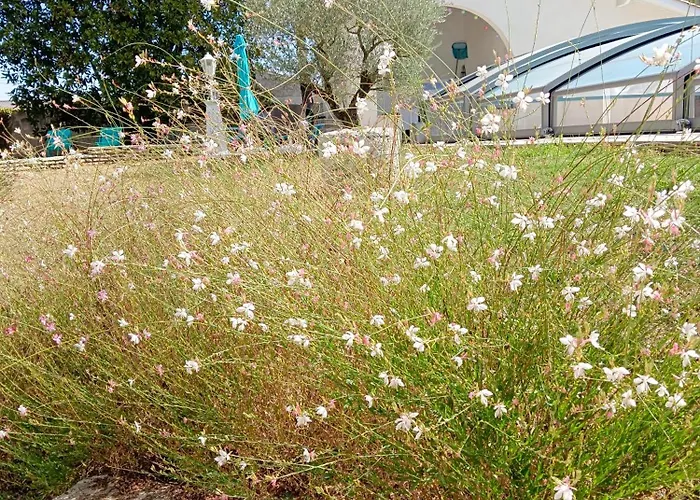 La Maison Basque Villa *